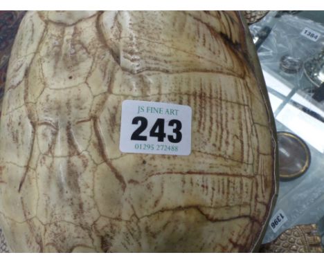 Taxidermy: A metal mounted tortoise shell, together with a cased set of arrow heads.