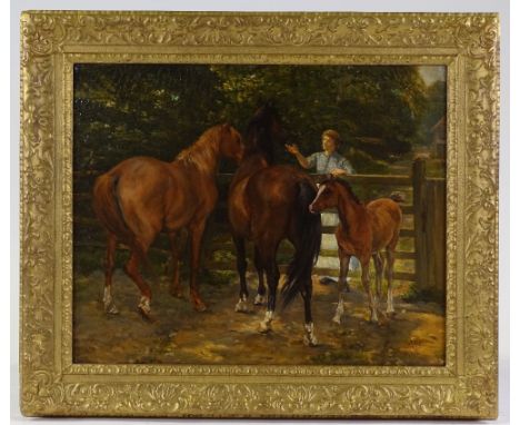 James Prinsep Barnes Beadle (1863 - 1947), oil on canvas, horses and foal by the field gate, signed, 17" x 21", framed