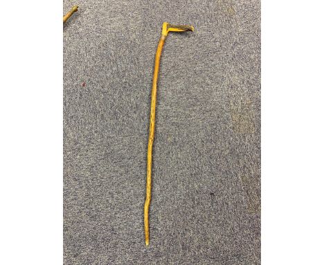 An antler handle &amp; London silver collar walking stick. 
