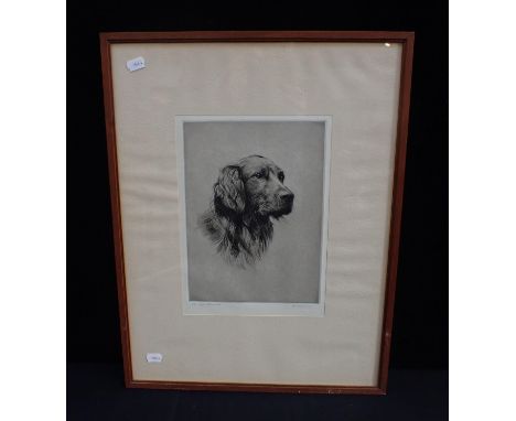 HARRY GOFFEY, 1871-1951: 'THE SPORTSMAN', A RETRIEVER etching, signed and titled in pencil to the margin, framed 55 x 42cm