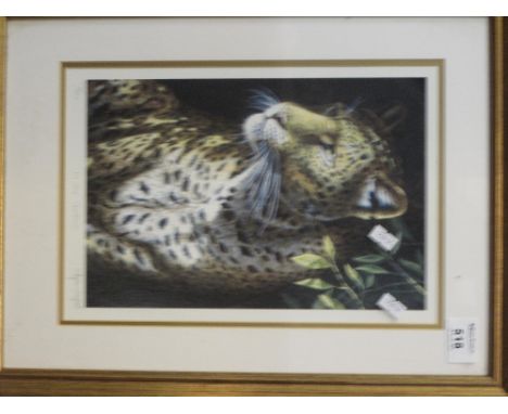 Stephen Gaford, 'In the Shadows', limited edition coloured print, signed in pencil by the artist.  Framed and glazed.