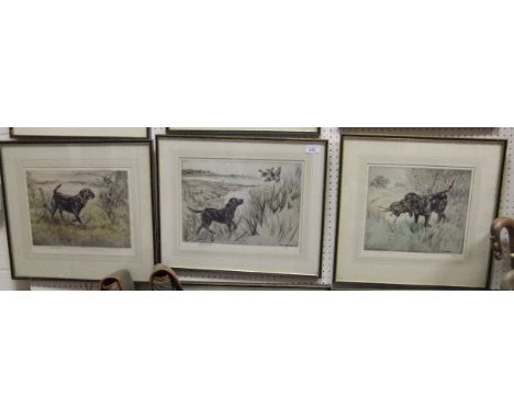 AFTER HENRY WILKINSON - three coloured etchings; "Black Labrador in profile", limited edition No'd. 1/150, signed in pencil l