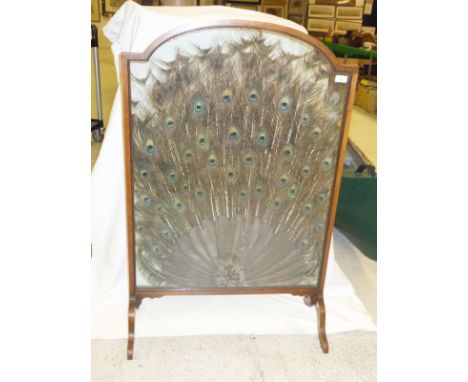 An early 20th Century oak framed firescreen by Rowland Ward, the glazed panels enclosing peacock feather display, bearing Row