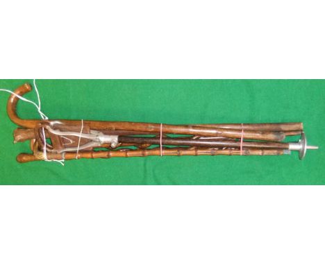 Five various walking sticks and a Swaine & Adeney shooting stick