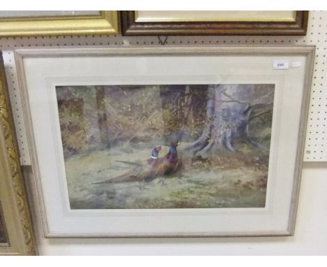 PHILIP RICKMAN (1962-) "Study of two cock pheasants in woodland", watercolour heightened with white, signed and dated bottom 