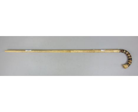 Whale bone walking stick A/F