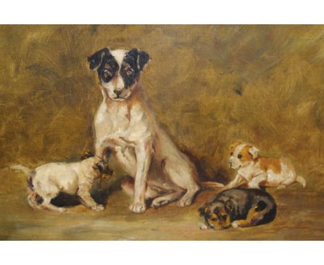 Early 20th Century, oil on canvas, portrait of a Jack Russell with her pups, indistinctly signed verso, 25 x 35cmCleaned, re-