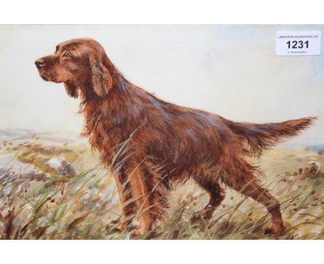 Attributed to Arthur Wardle, watercolour and bodycolour, portrait of a dog, monogrammed, 23 x 33cm