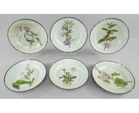 SIX SWANSEA PEARLWARE BOTANICAL PLATES IN THE STYLE OF THOMAS PARDOE circa 1802-1810, each botanical study after Curtis' Bota