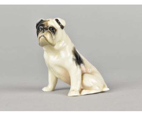 A Royal Worcester Study of a Seated Bulldog, 2945, Small Nick to Tail 