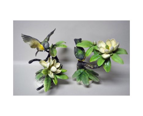 English Fine Bone China, Decorated, hand-created, hand-painted by Dorothy Doughty for Royal Worcester, featuring the Parula W