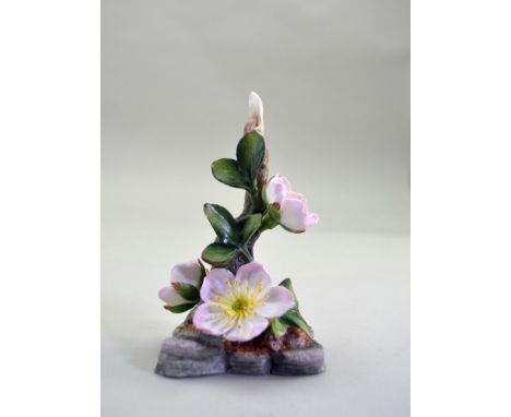Fine Bone China Decorated, hand created, hand painted by the Artists of the Royal Worcester Studio in England. Featuring a Pi