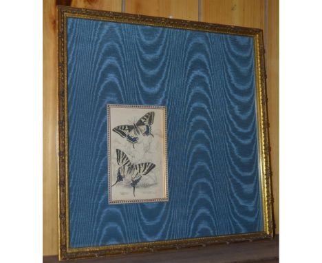 Original Hand-Colored Engraving, featuring the Papilio Machaon and Papilo Podalirius Scarce Swallow Tail Butterflies. W.H. Li