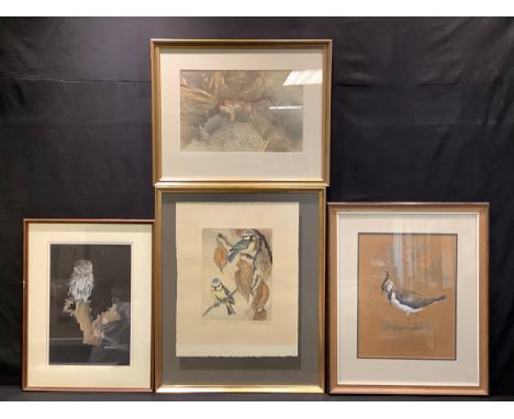 Pictures and Prints - James Rowley, Study of a Frog, signed, dated 1990, watercolour, 25cm x 38cm; Louis Jeacock, Lapwing, si