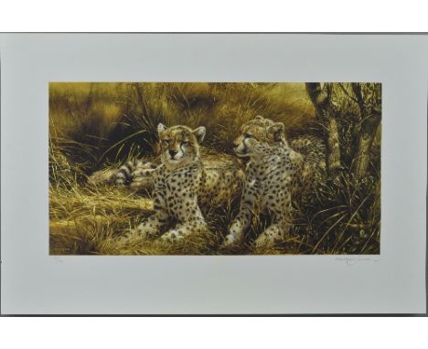 MICHAEL JACKSON (BRITISH 1961) 'CHEETAHS, a limited edition print 70/95 of a pair of cheetahs in the shade, signed and number