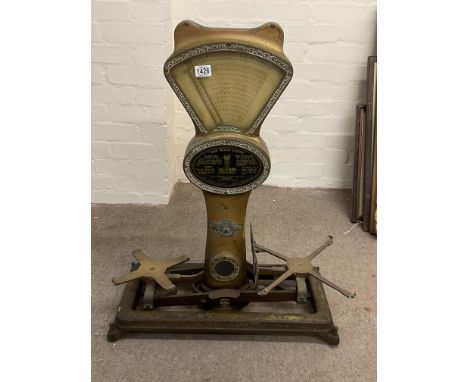 A large set of grocers scales by the Automatic scale company.