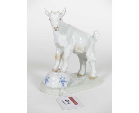 A Meissen porcelain figure of a goat, modelled standing on upturned Meissen tea bowl, blue underglazed cross swords mark and 