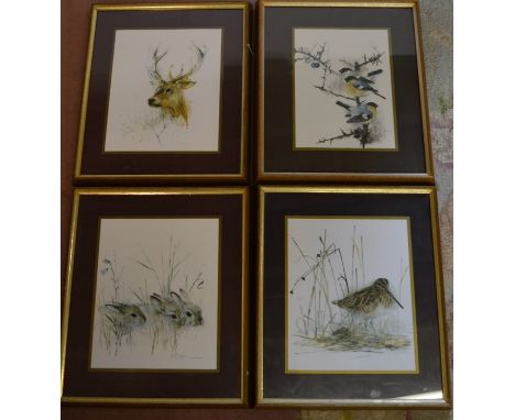 Set of 4 framed wildlife prints