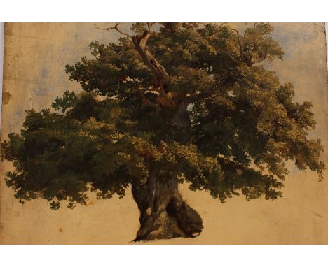  Attributed to Patrick Nasmyth (1787-1831) British.  “The Sidney Oak, Penshurst Park”, a Sketch of the Sidney Oak Tree, Oil o