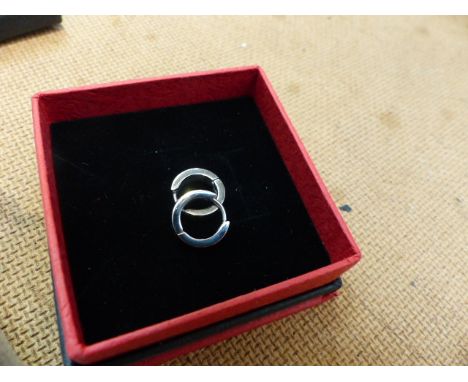Pair of titanium earrings