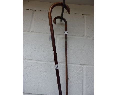 Walking cane with hallmarked silver collar and one other walking stick 