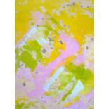 Theresa Volpp Untitled (plastic skin) III