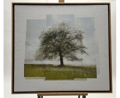 Ruth Maxwell (Contemporary), "Toukes Solace", coloured photographic print on linen 4/10, signed, dated '06, titled in pencil 