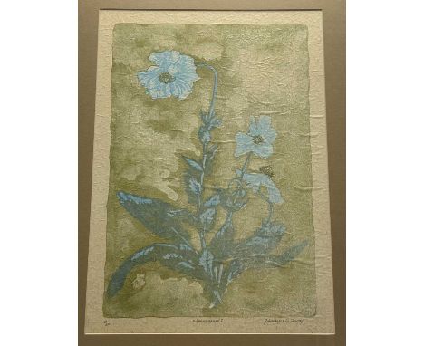 Gladys McAvoy, Meconopoles I, limited coloured linocut 4/20 on textured paper, signed, titled in pencil bellow, in a glazed f