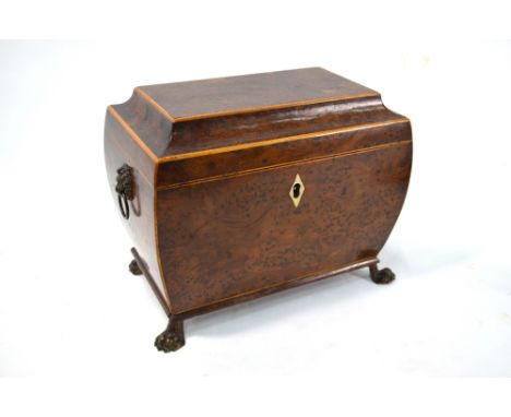 A Regency satinwood edged burr tea caddy with twin lidded compartments, on cast paw feet, 22 x 14 x 17.5 cm high