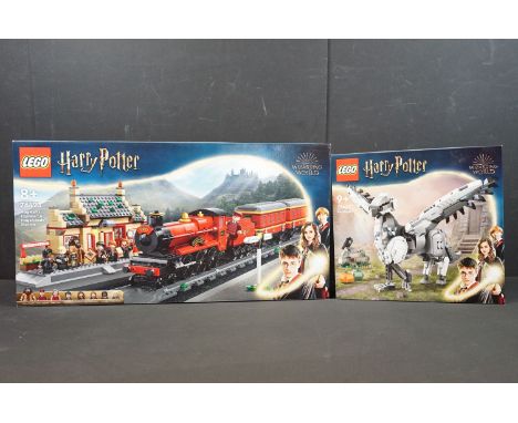Lego - Two boxed Harry Potter Wizarding World Lego sets to include 76423 Hogwarts Express &amp; Hogsmeade Station and 76427 B