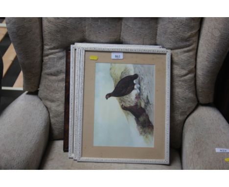 A quantity of game bird prints and a photographic print