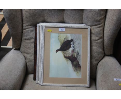 A quantity of game bird prints and a photographic print