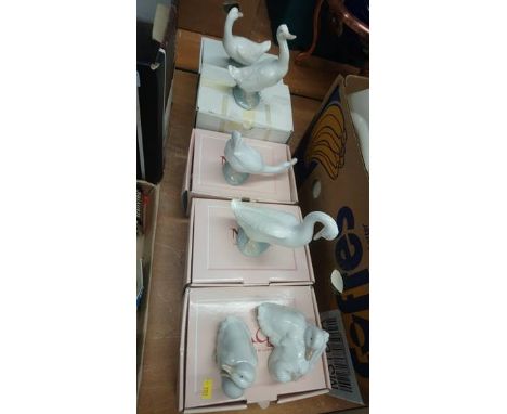Collection of Nao geese