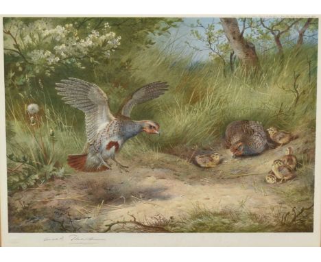 Archibald Thorburn (1860-1935) signed coloured print - English Partridges, published 1927 with blindstamp, 35.5cm x 48cm, in 