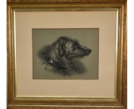 After Edwin Landseer (1802-1873) charcoal portrait of a Deerhound, 23cm x 30cm, in glazed gilt frame 