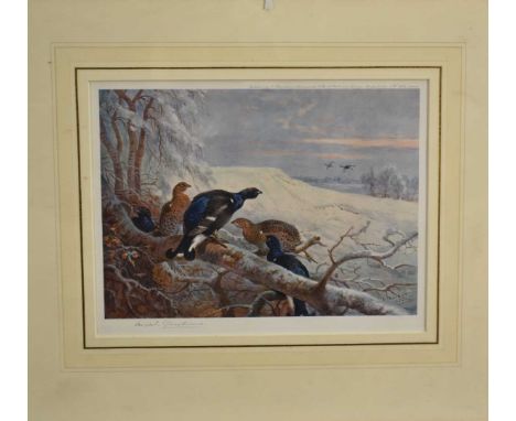 Archibald Thorburn, two signed prints depicting Grouse, together with a J. C. Harrison signed print of English partridge, eac