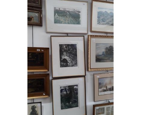 Robert R Greenhalf (b1950), a group of three coloured etchings, "Broadland" 40cm x 22cm, "Badger" &amp; "Otter" 26cm x 34cm, 