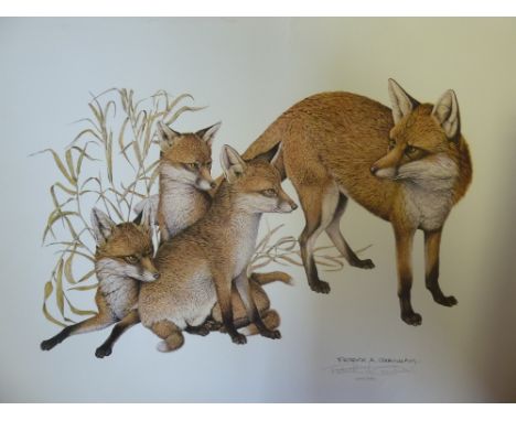 Kate Wyatt 'Beorhtic/Red Squirrel' limited edition print, signed and numbered 46/195, signed lower right, mounted, 47 x 39cm,