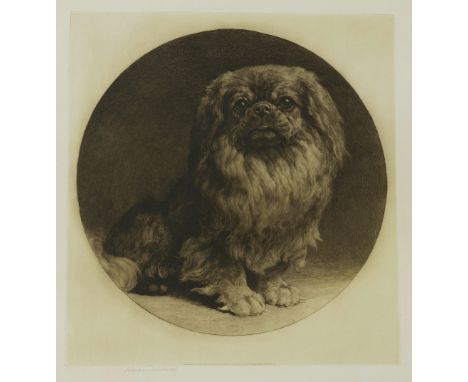 HERBERT DICKSEE (BRITISH, 1862-1942)A Pekingese (1924) signed 'Herbert Dicksee' (lower left margin), published by Frost & Ree