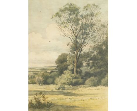 HERBERT DICKSEE (BRITISH, 1862-1942) (2)Trees in a landscape signed 'Herbert Dicksee' (lower left margin) etching in colour 4