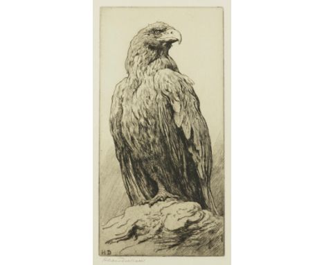 HERBERT DICKSEE (BRITISH, 1862-1942) (2)Golden Eagle signed 'Herbert Dicksee' (lower left margin) etching 30 x 15cm together 