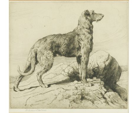 HERBERT DICKSEE (BRITISH, 1862-1942)On the Moors - A Scottish Deerhound signed 'Herbert Dicksee' (lower left margin) etching 