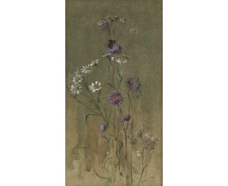 EDWIN ALEXANDER (SCOTTISH, 1870-1926)Scabious and Sneezewort with a Red-tailed Bumblebee signed with initials 'E.A.' (lower l