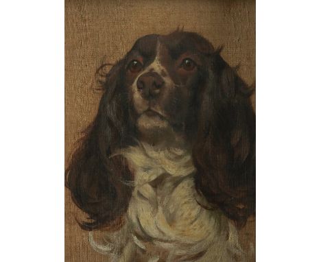 ARTHUR WARDLE (BRITISH, 1864-1949)Spaniel oil on linen laid on card; sketch of leopards (verso) 27 x 22cm  Provenance Propert