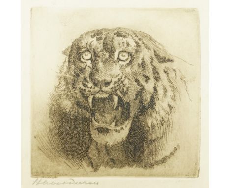 HERBERT DICKSEE (BRITISH, 1862-1942) (3)Snarling Tiger signed 'Herbert Dicksee' (lower left margin) etching 7.5 x 7.5cm toget
