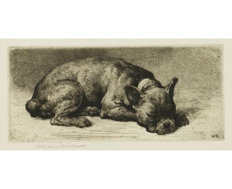 HERBERT DICKSEE (BRITISH, 1862-1942) (2)A French bulldog asleep - Dorothy Service's pet bulldog Shaver signed 'Herbert Dickse