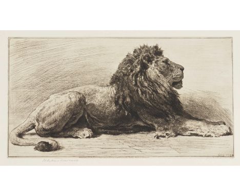 HERBERT DICKSEE (BRITISH, 1862-1942) (2)An Old African Lion (1924) signed 'Herbert Dicksee' (lower left margin), published by