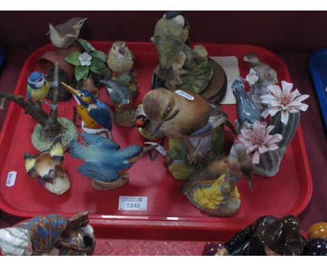 A collection of bird figurines to include Border Fine Arts 'Willow Tits', Royal Doulton 'Winter Wren', Royal Worcester 'Jay',