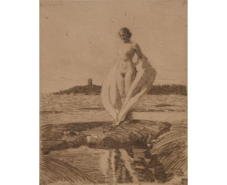 
	
		ANDERS ZORN (SWEDISH 1860-1920)
		THE SWAN (ASPLUND 269)
		Etching, 1915
		Signed in pencil
		Plate: 24.5 x 19.5cm (9½ x