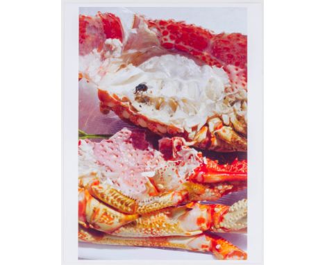 Photobücher - - Tillmans, Wolfgang. Neue Welt. Mit 72 Photographien auf 24 Doppelbögen. Köln, Taschen, 2012. 47 x 36 cm. Lose